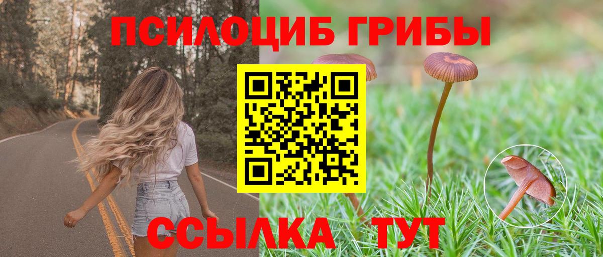 Галлюциногенные грибы Magic Shrooms Выкса
